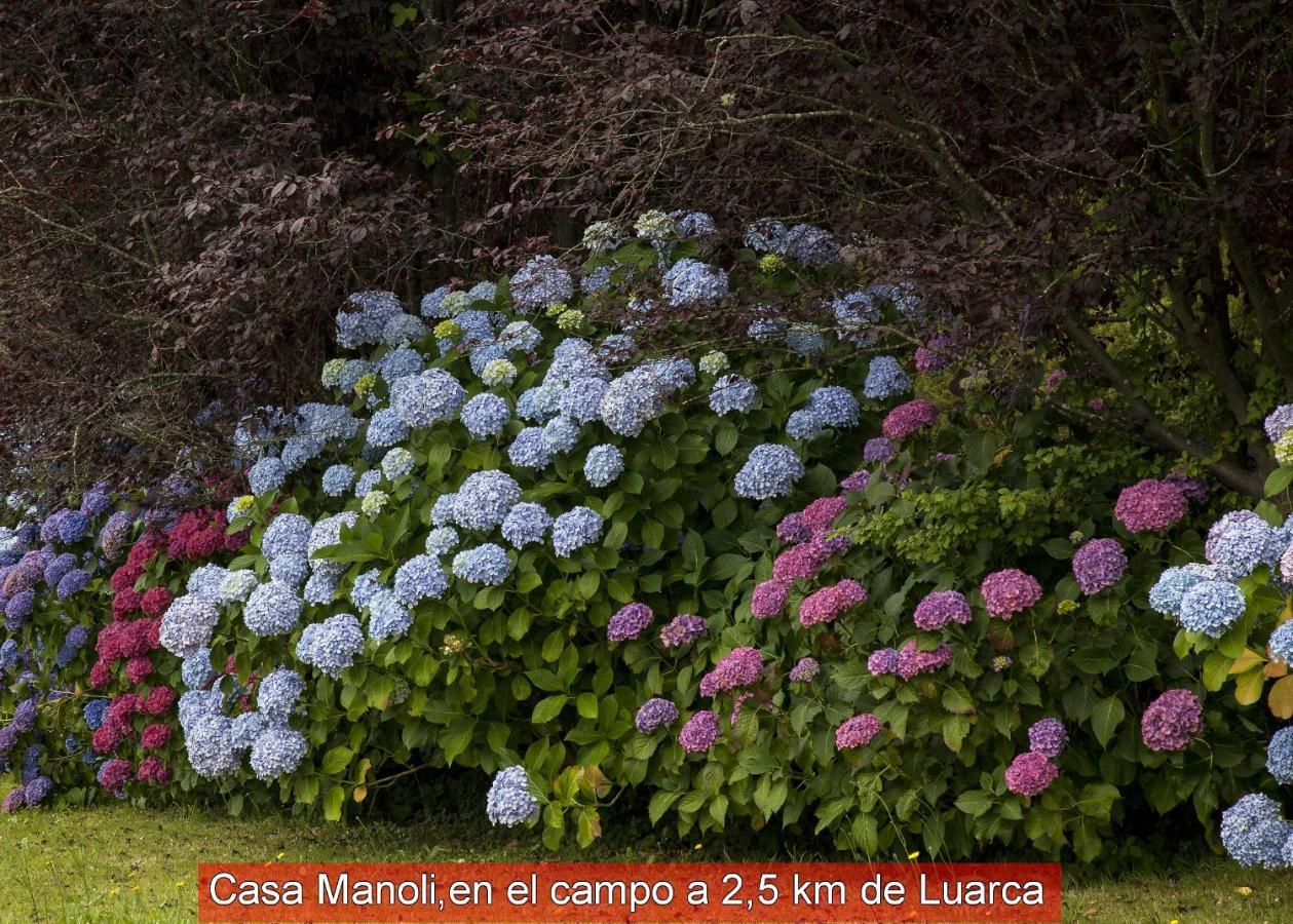 בית הארחה Almuña 	Casa Manoli Luarca מראה חיצוני תמונה